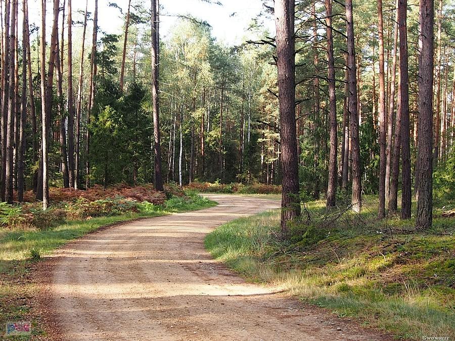 Kaleciańskie szutry