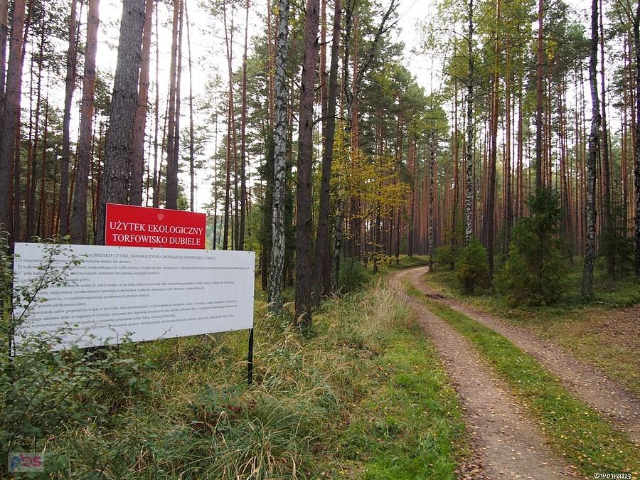 Torfowiska Dubiele