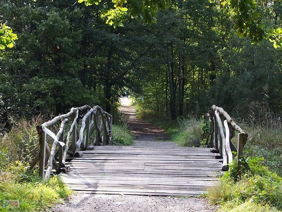 Mostek nad Leśnicą w Koszęcinie