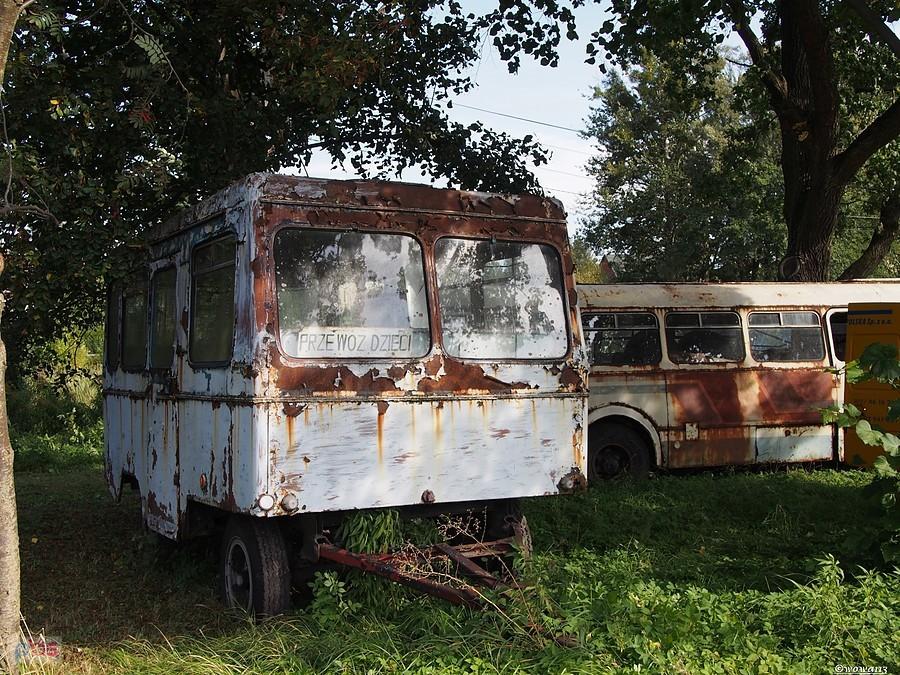 Znaczy się gimbus?