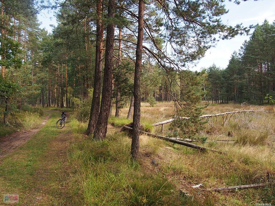 LR-ka przez torfowisko Dubiele