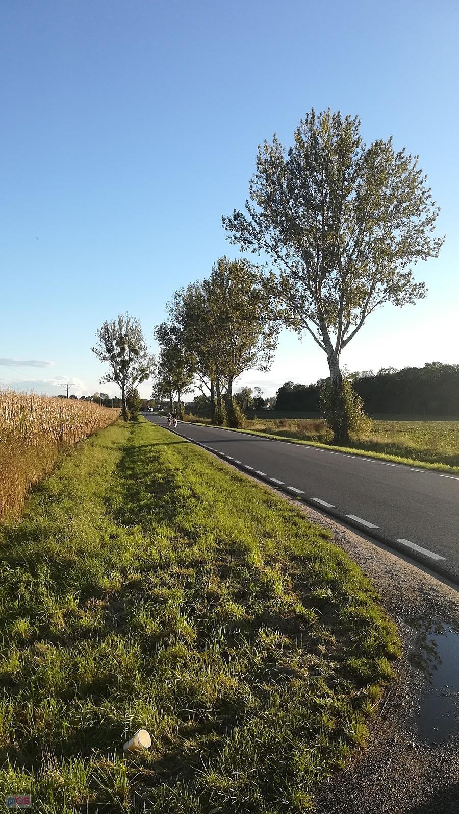 Jesienna szosa za Żórawiną
