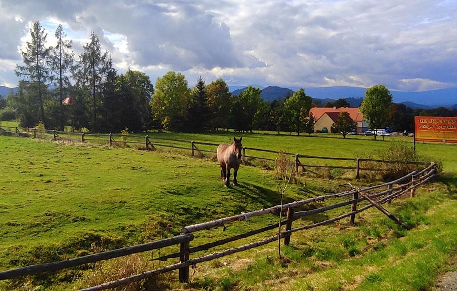 Góry na tle konia :)