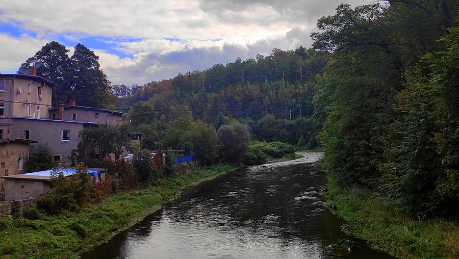 Bóbr płynący przez Janowice Wielkie