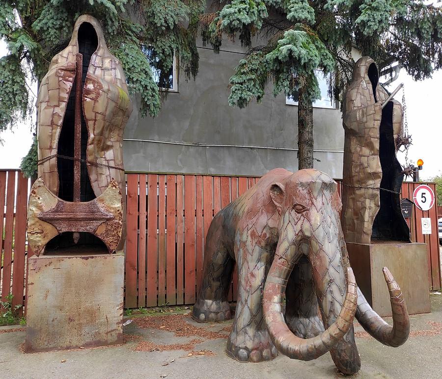Mamut z obstawą Nazguli, Wojcieszyce