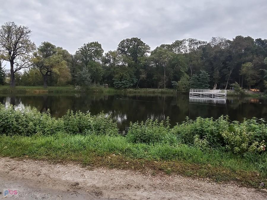 Staw w Ołtarzewie