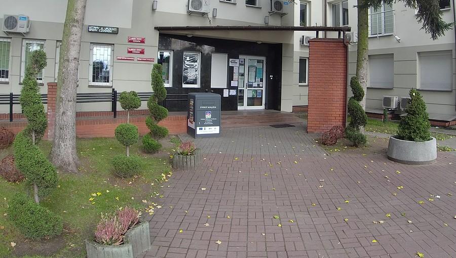 Formowane krzewy przed Urzędem Gminy Czosnów