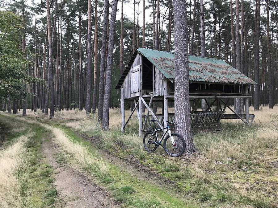 paśnik w okolicy Jabłonowa