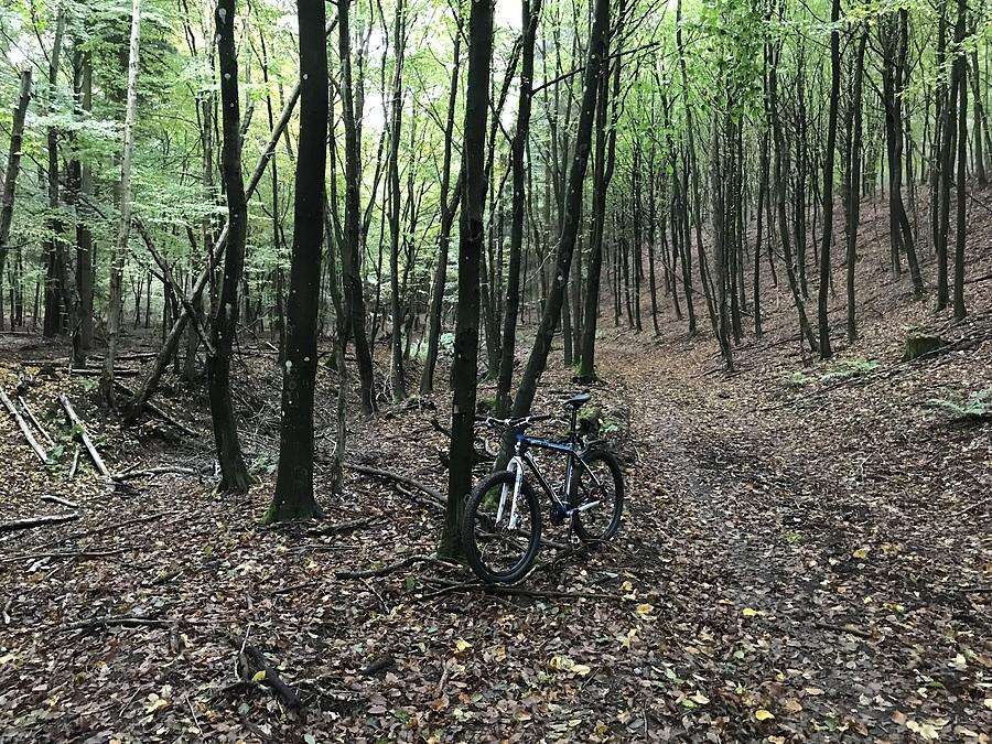 Bieszczady wlkp.