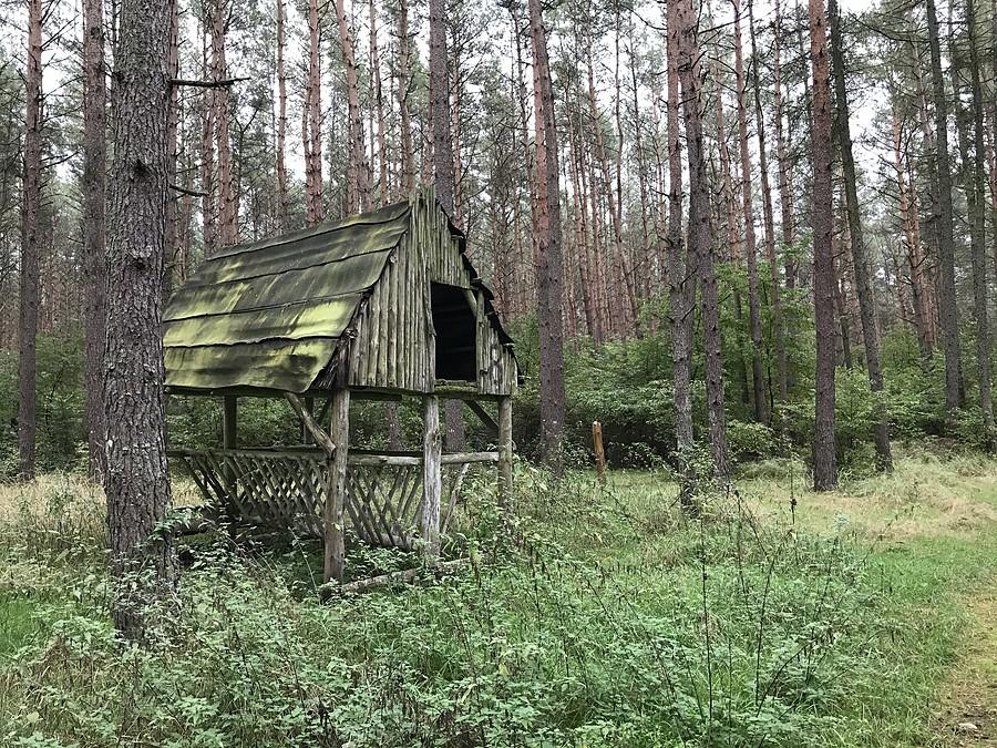 kolejny paśnik - w drodze do Czarnkowa
