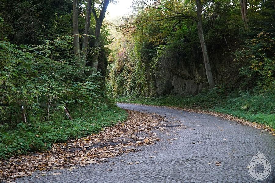 bruczkowany podjazd nad Ojców