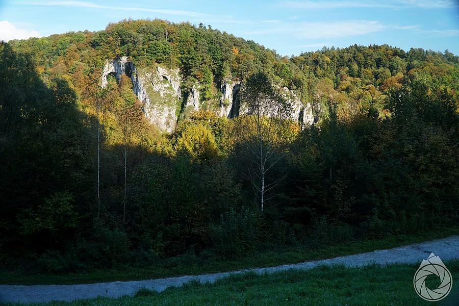 widoczek nadbrukowy