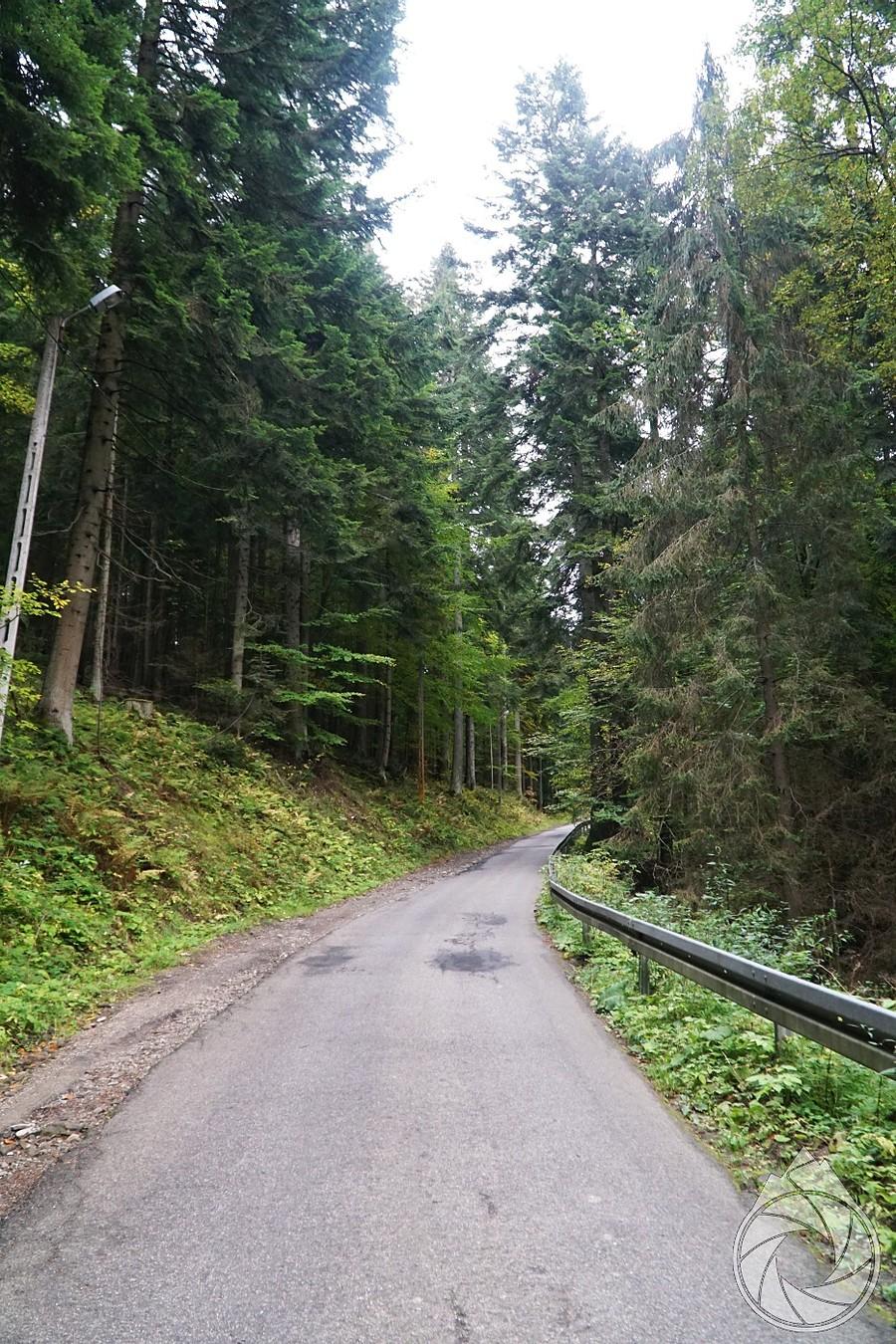 kawał tego stromego podjazdu na Suchą Dolinę