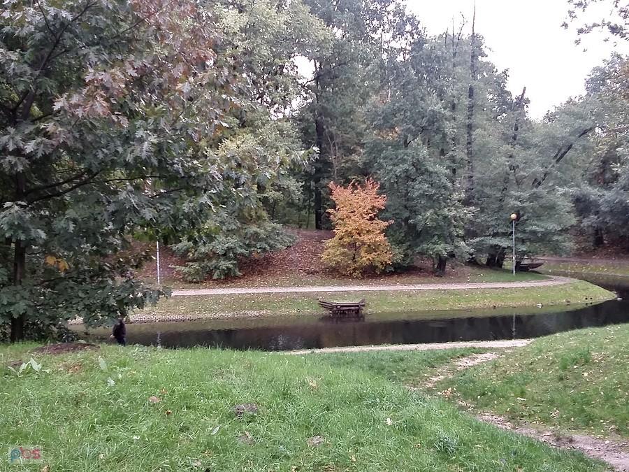Jesień w parku