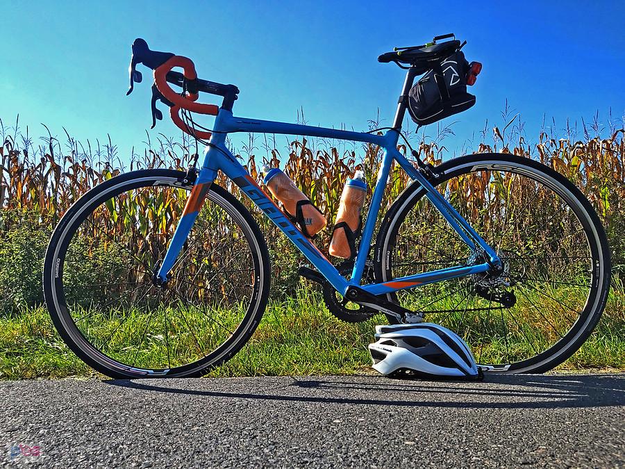 Giant Contend SL 2
