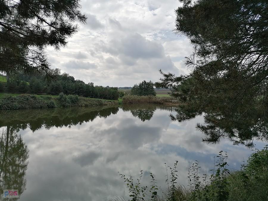 Stawy w Zalesiu