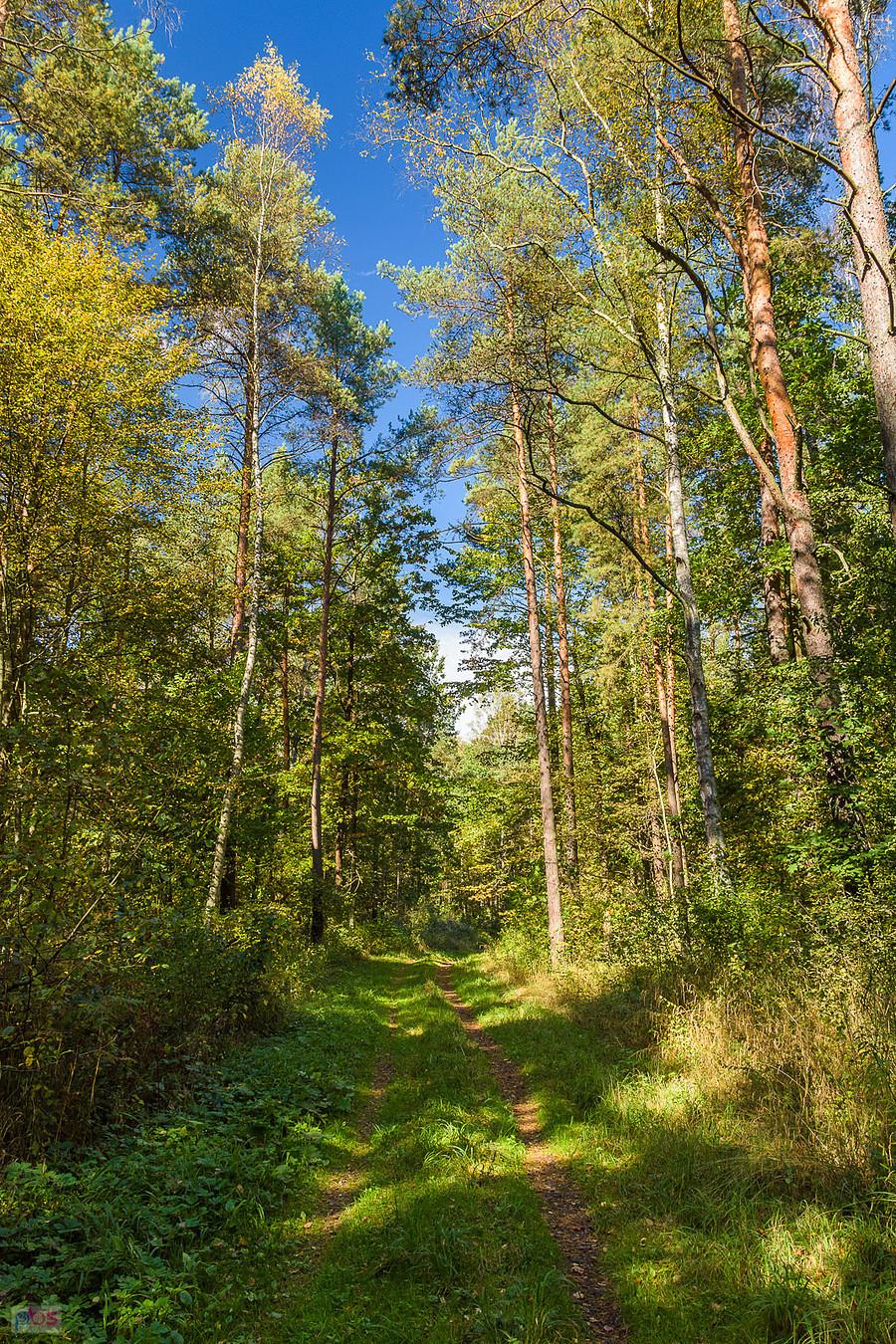 Kuźnica Masłońska