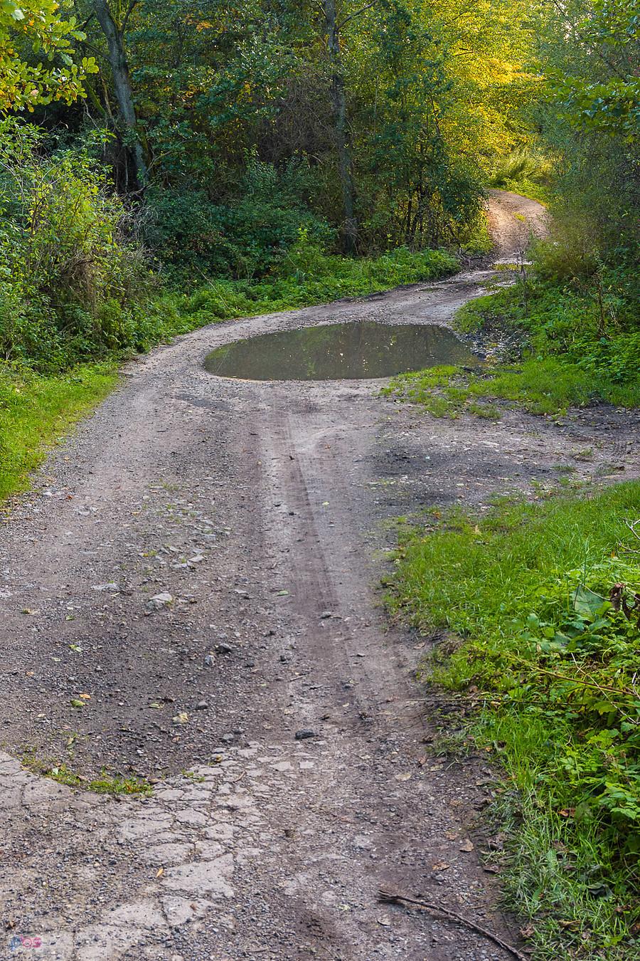 Ulica Turystyczna - Kuźniczka Nowa - Dąbrowa Górnicza