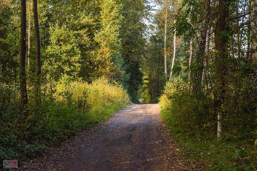 Ulica Turystyczna - Kuźniczka Nowa - Dąbrowa Górnicza