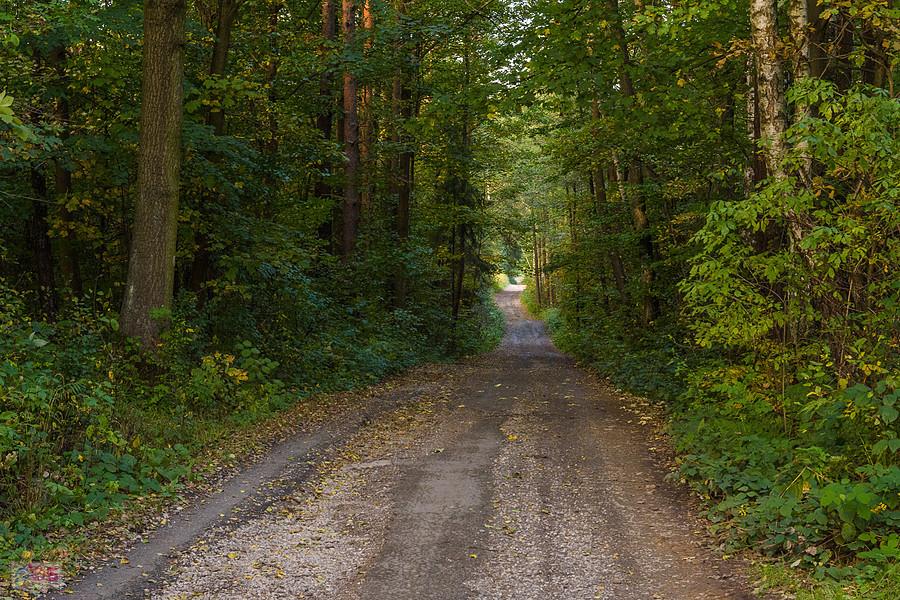 Ulica Turystyczna - Kuźniczka Nowa - Dąbrowa Górnicza