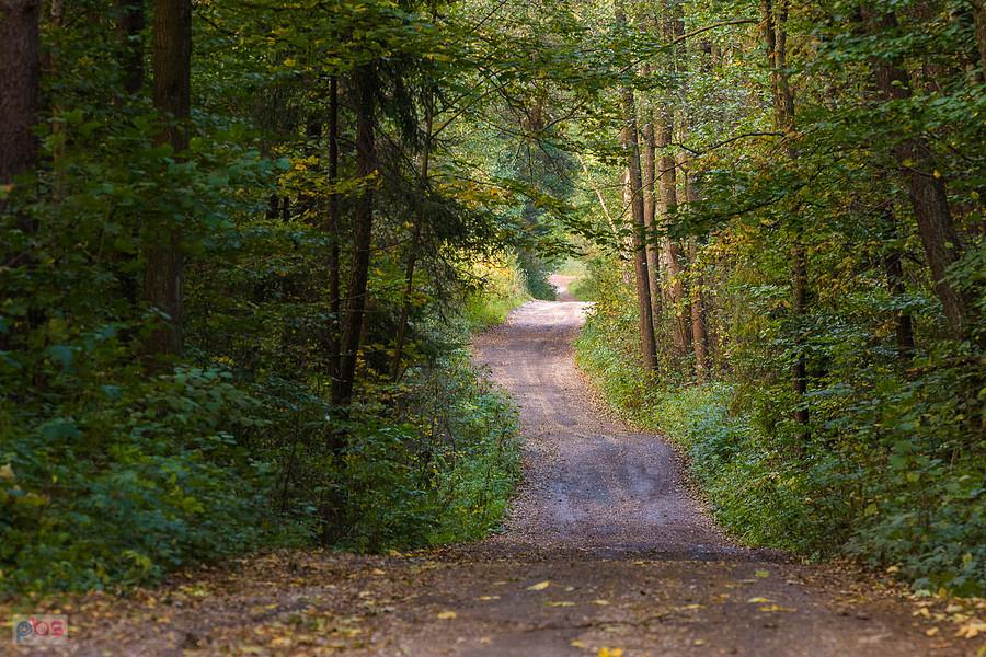 Ulica Turystyczna - Kuźniczka Nowa - Dąbrowa Górnicza