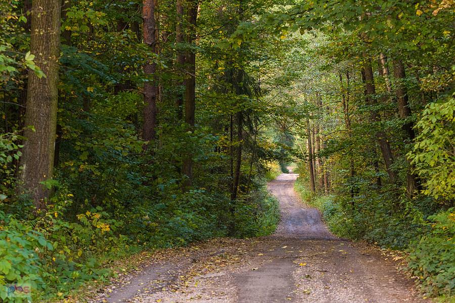 Ulica Turystyczna - Kuźniczka Nowa - Dąbrowa Górnicza