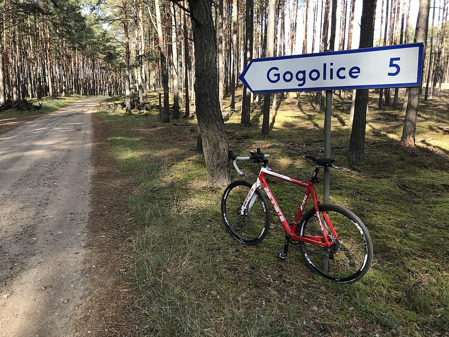 kierunek Gogolice