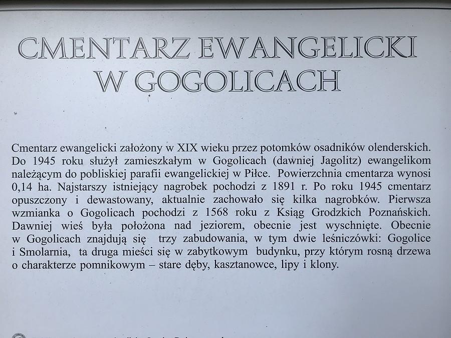 Cmentarz Ewangelicki w Gogolicach