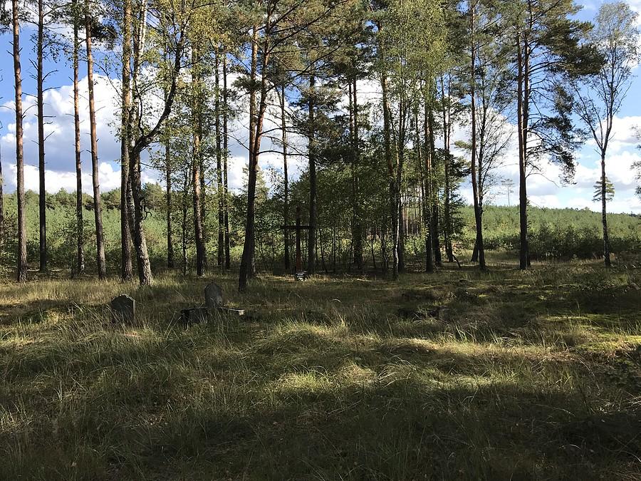 widok ogólny na cmentarz