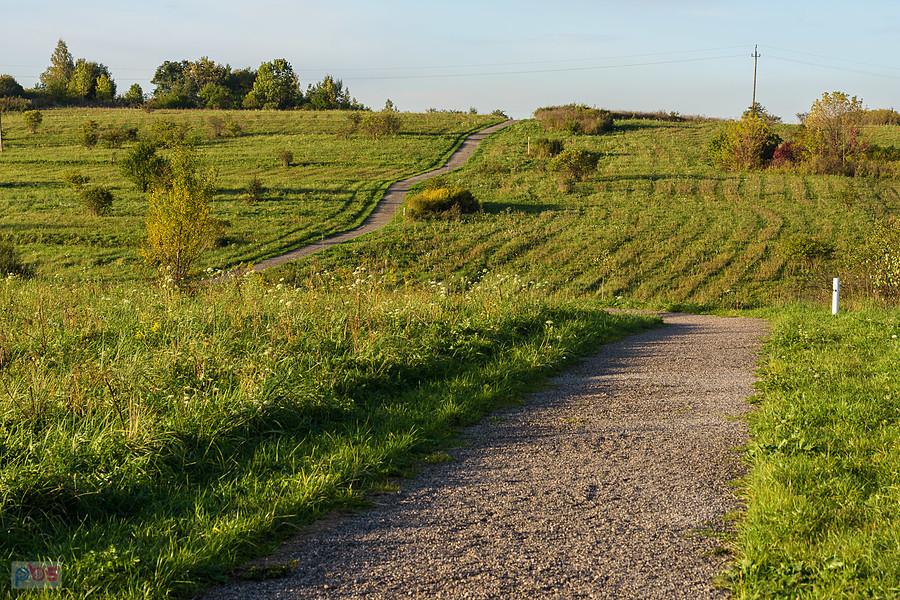 Droga rowerowa w kierunku Dąbrowy Górniczej - Niwka, Sławków
