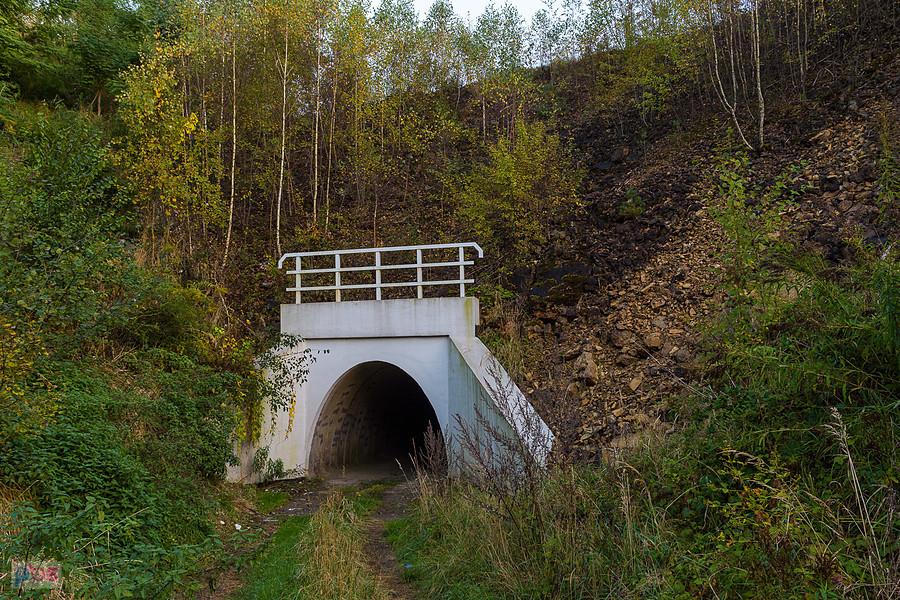Drugi tunel pod linią D29-154 (podg. Przemiarki - Dąbrowa Górnicza Towarowa) - Okradzionów