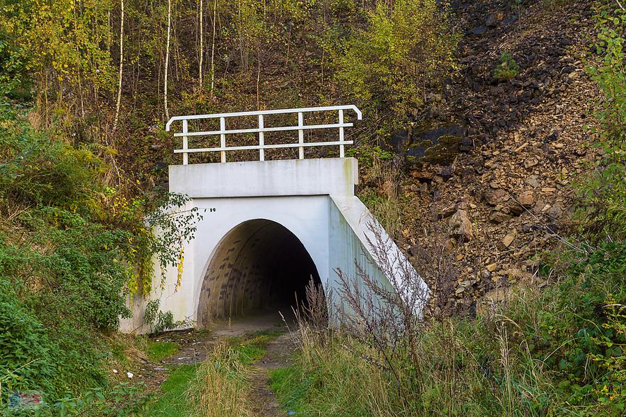 Drugi tunel pod linią D29-154 (podg. Przemiarki - Dąbrowa Górnicza Towarowa) - Okradzionów