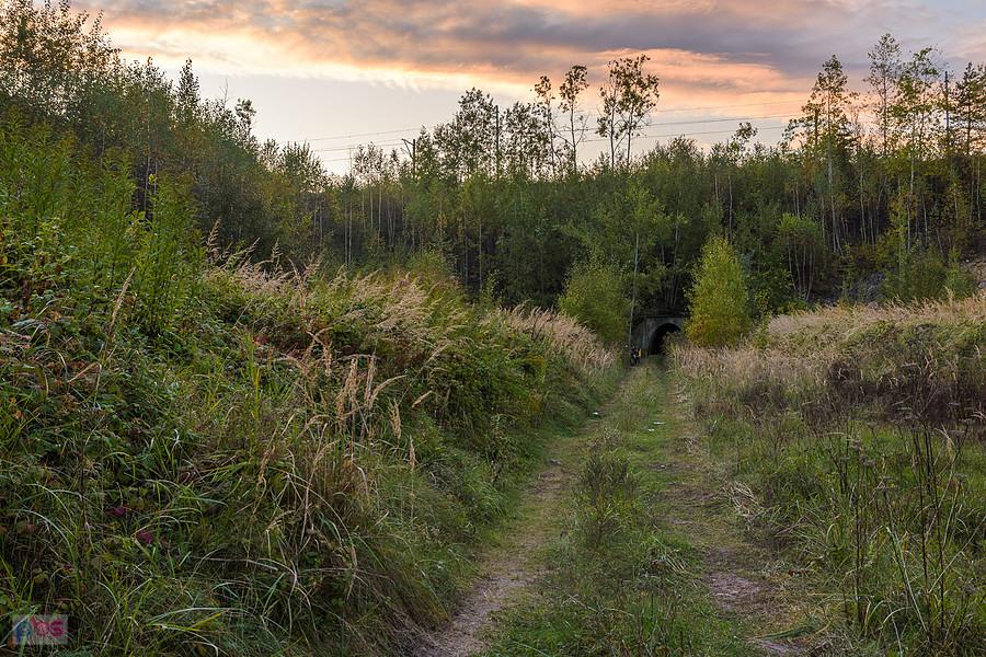 Droga pomiędzy dwoma tunelami pod liniami kolejowymi D29-154 i D29-171 - Dąbrowa Górnicza.