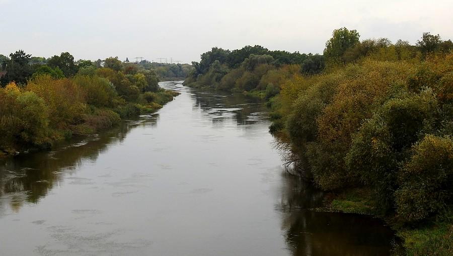 Warta na wysokości poznańskiego Dębca