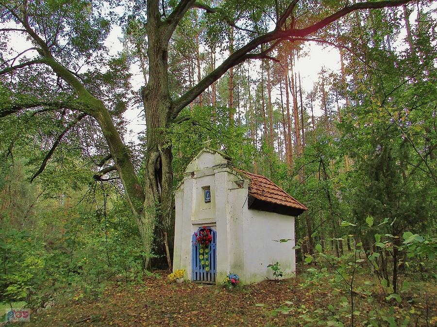 Kapliczka przy Leśniczówce Potok