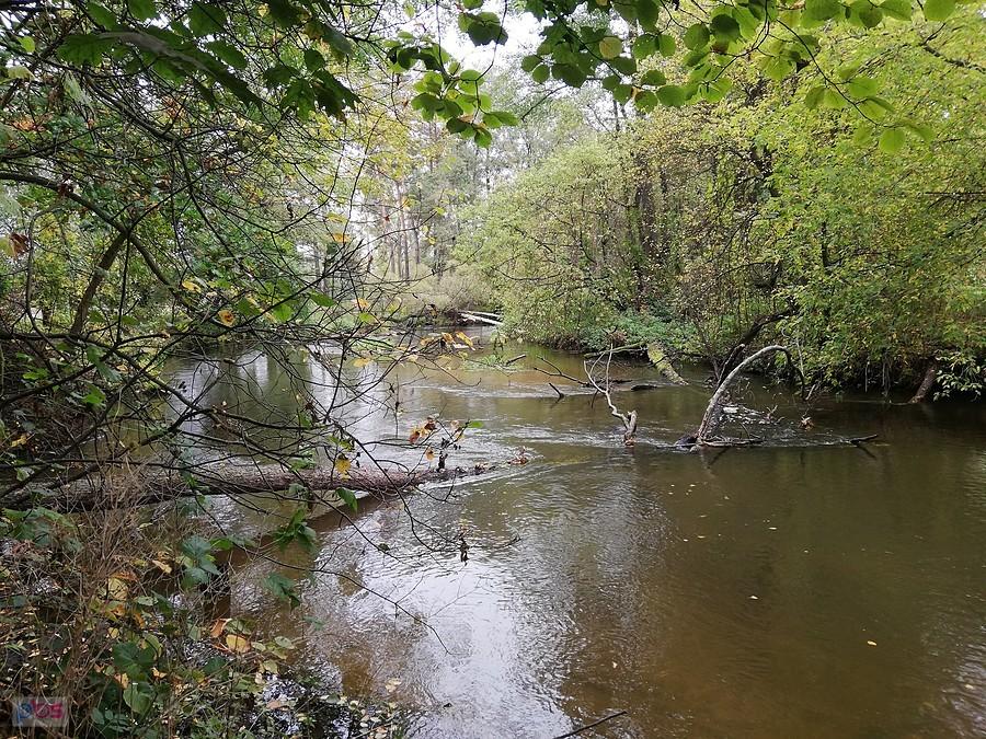Dzika i tajemnicza Rawka