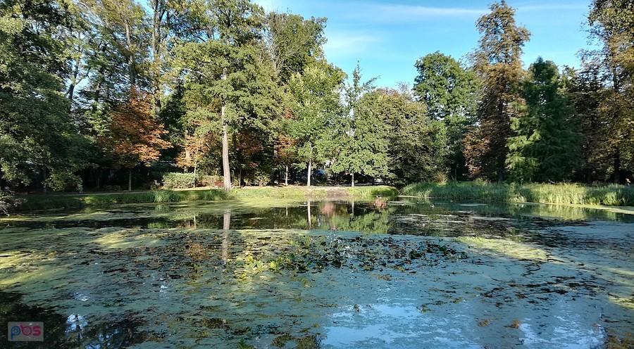 Jesienny park brochowski