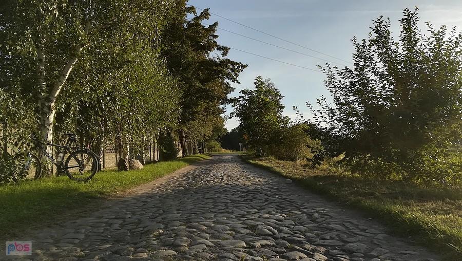 Bruki jesienią? W tym sezonie to możliwe!