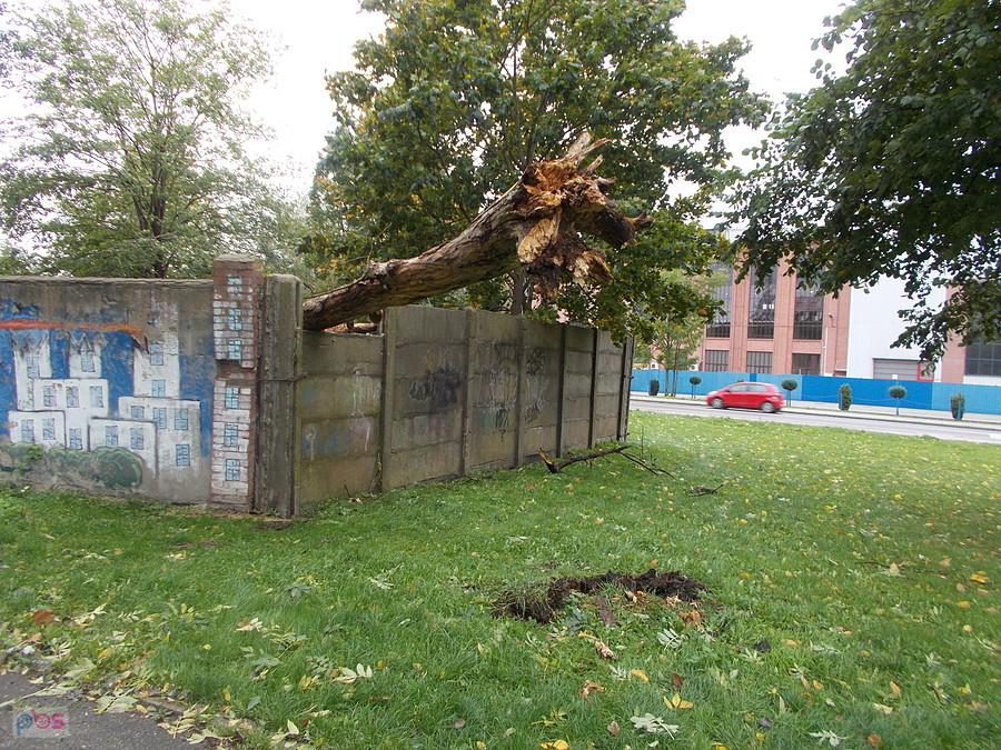 Wiatrołom