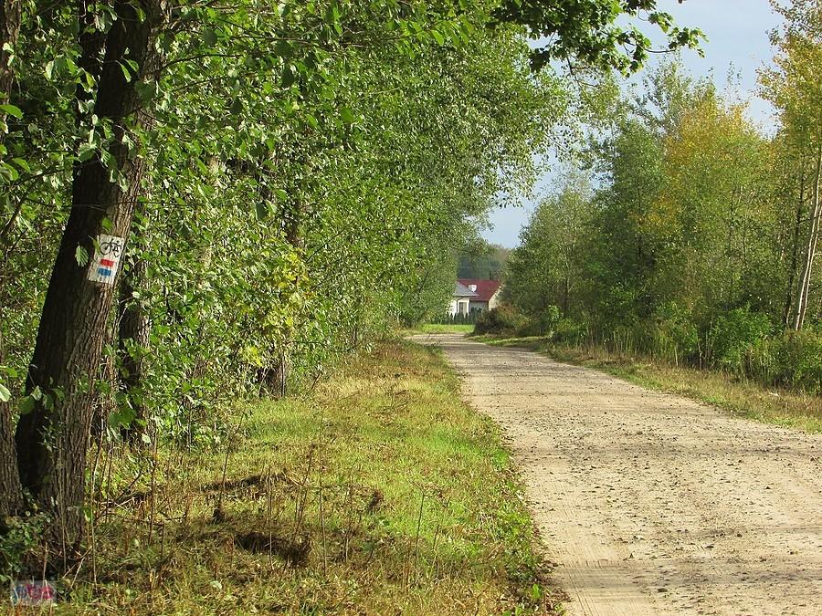 Szlak rowerowy do Czarnego Lasu