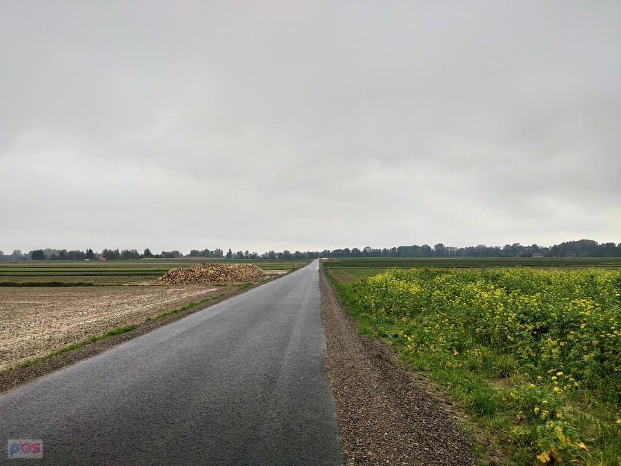 Trochę mokro
