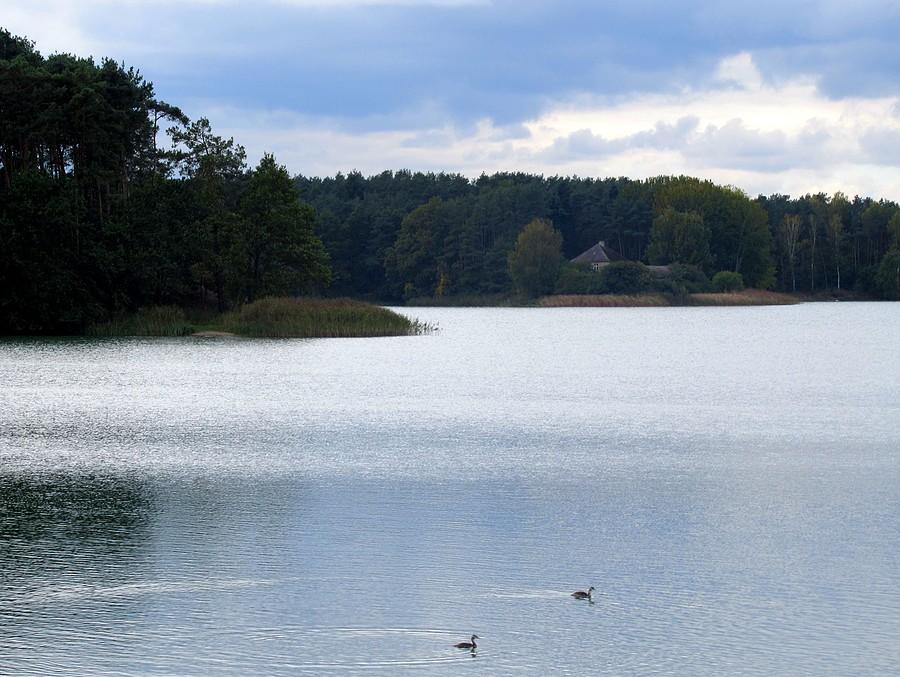 Kowalskie z perkozami na pierwszym