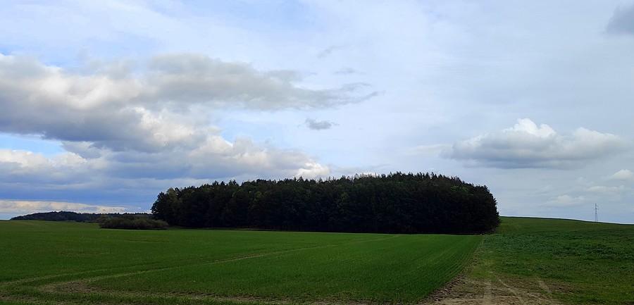 Wielkopolski widoczek