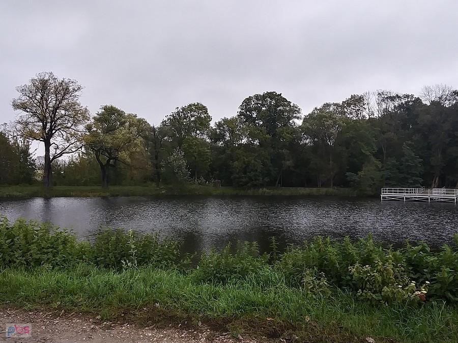 Staw w Ołtarzewie