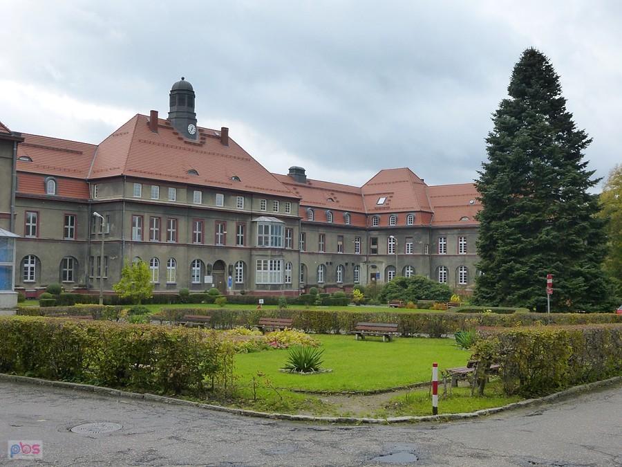 Śląski Uniwersytet Medyczny w Zabrzu