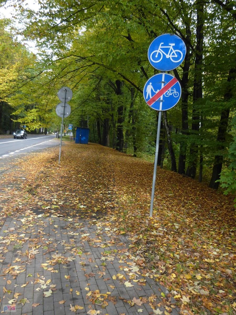 Na rowerówce trzeba uważać