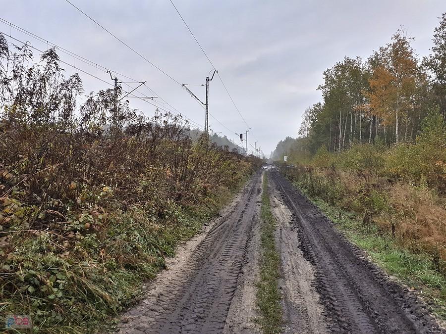 15.10.2020. Żarki Letnisko, powiat myszkowski, gmina Poraj.