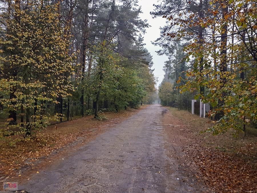 Żarki Letnisko - ulica Grunwaldzka, odcinek już za kosciołem