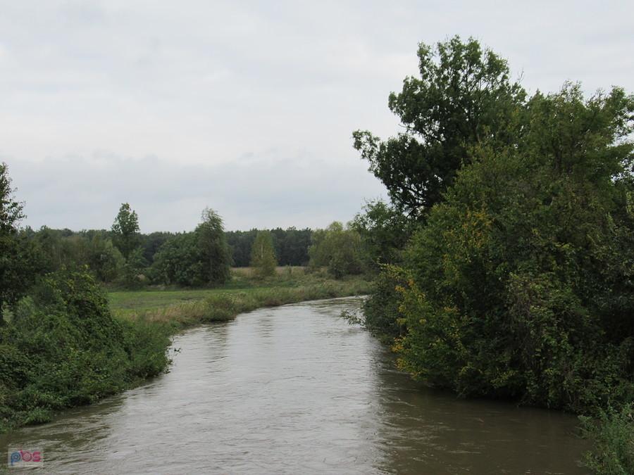 Strzegomka koło Bogdaszowic