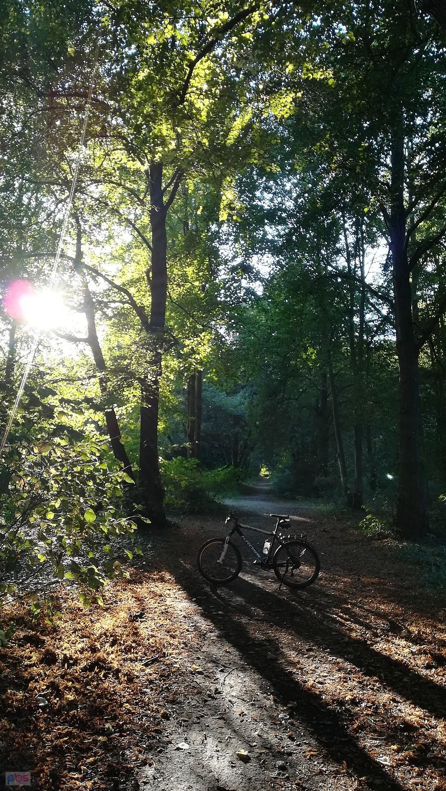 W Lasku Grabiszyńskim